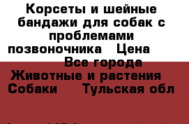 Корсеты и шейные бандажи для собак с проблемами позвоночника › Цена ­ 2 500 - Все города Животные и растения » Собаки   . Тульская обл.